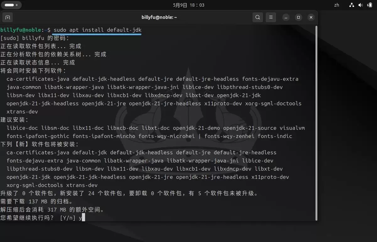 Ubuntu 24.04 LTS怎么安装和卸载Ja va?