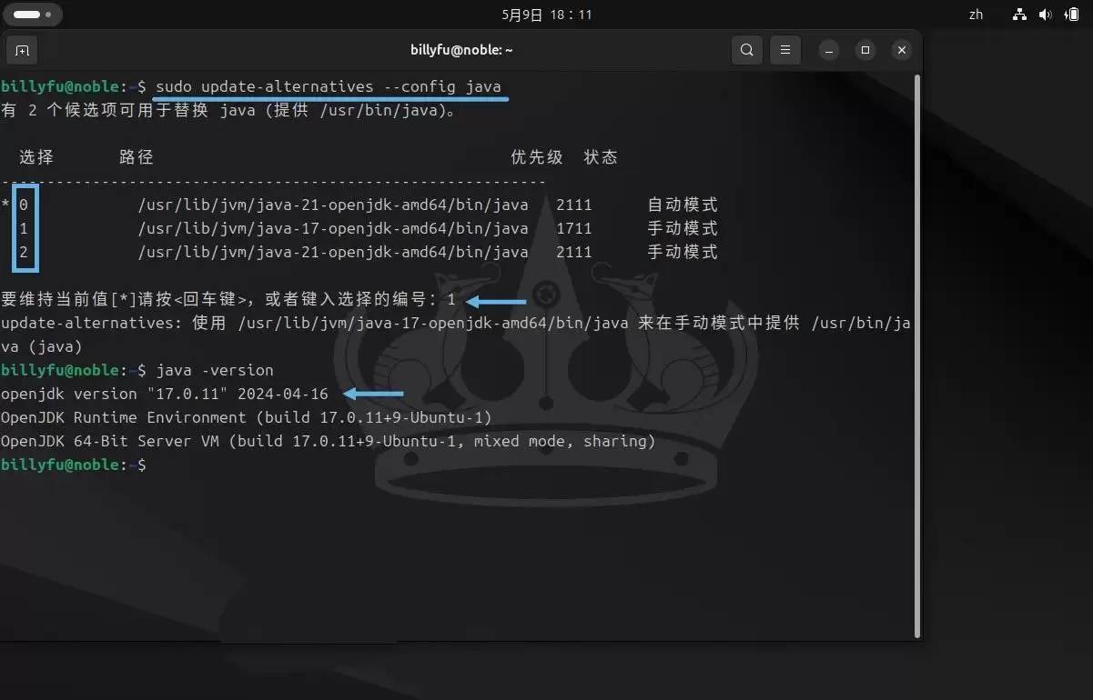 Ubuntu 24.04 LTS怎么安装和卸载Ja va?