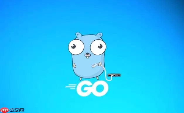 如何在 Golang 中实现自定义的字符串哈希算法用于快速数据路由