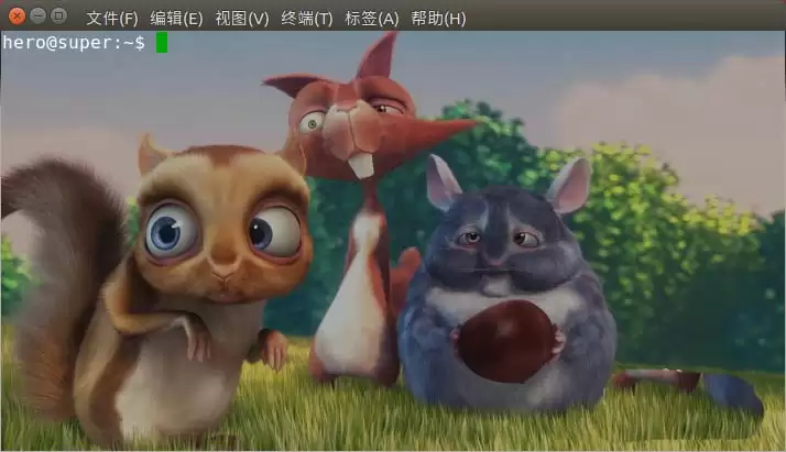 最终效果：终端带有背景图片