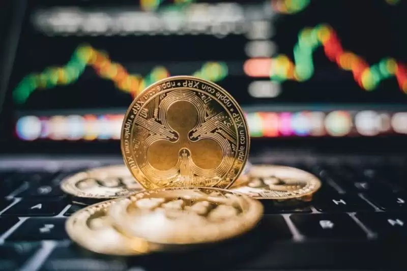 XRP ETF是什么？SEC批准状态、发布日期及投资指南