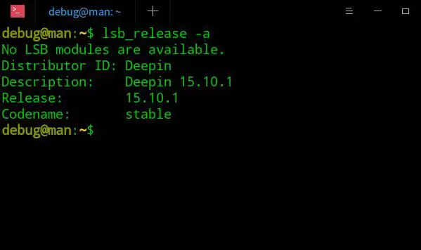deepin系统版本号怎么看? deepin系统查看系统版本信息的技巧