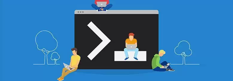 Win11默认终端应用在哪里设置?  Win11设置默认终端应的技巧