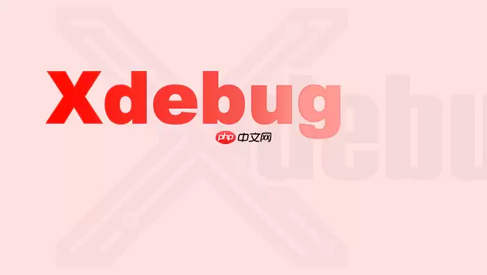 Xdebug断点命中频率过高?添加Hit Count阈值降低干扰技巧【方法】