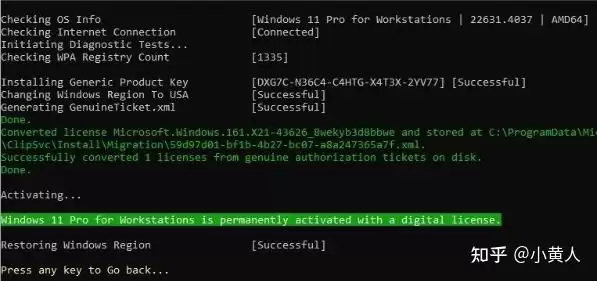 一行命令激活win10/win11系统! Windows激活指南