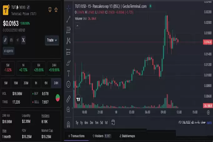 迪拜王室百亿押注!BSC 链三大黑马疯涨 200%,下一个百倍金狗是它？