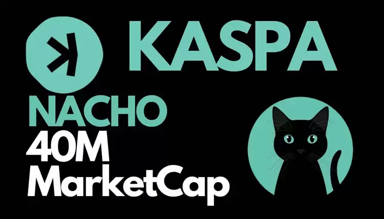 Nacho the Kat (NACHO) 币是什么?NACHO币值得投资吗?