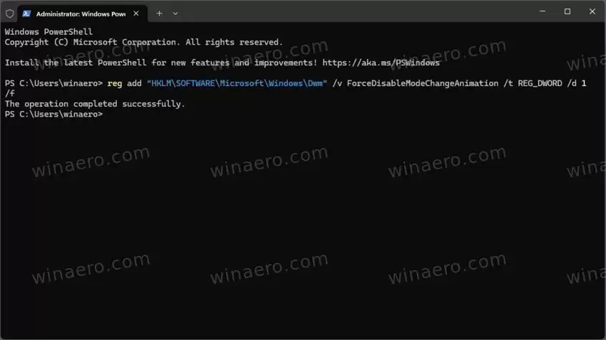 Win11预览版22631.3810及后续版本怎么禁用显示过渡动画?