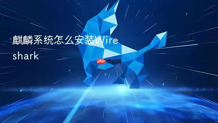 麒麟系统怎么安装Wireshark