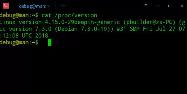 deepin系统版本号怎么看? deepin系统查看系统版本信息的技巧