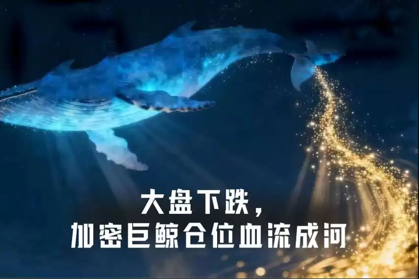 加密货币市场暴跌 BTC跌破6万美元 ETH失守1600美元 合约爆仓数据