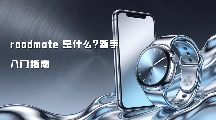 roadmate 是什么？新手入门指南