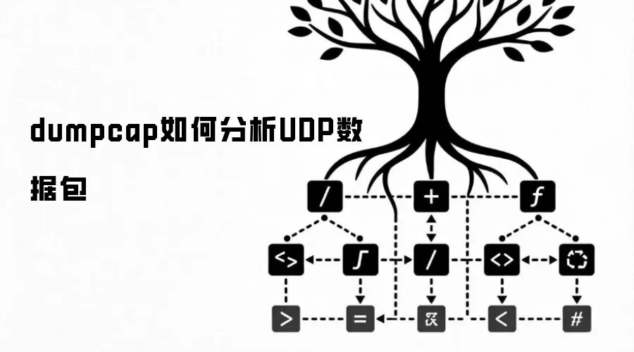 dumpcap如何分析UDP数据包