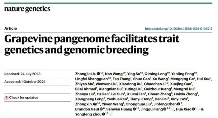 我国科学家利用人工智能加速葡萄育种，效率提高 400%