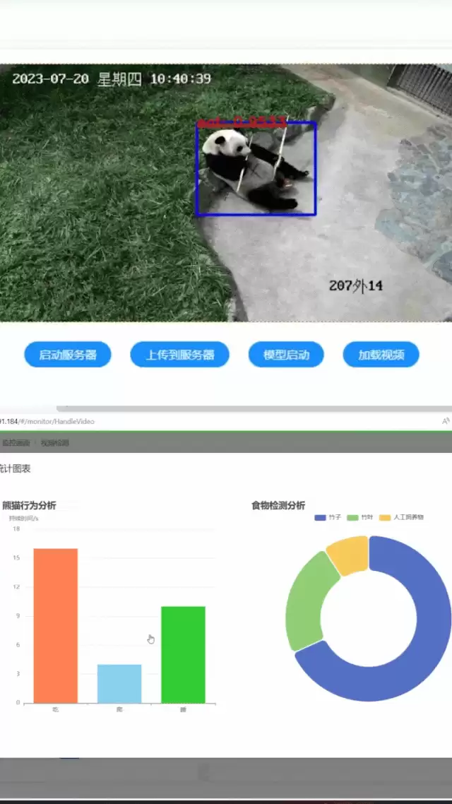 腾讯研发全球首个大熊猫模型:实时识别、统计、分析大熊猫行为并生成报告