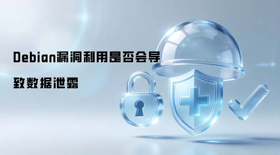 Debian漏洞利用是否会导致数据泄露