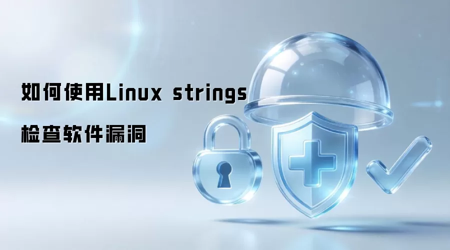如何使用Linux strings检查软件漏洞
