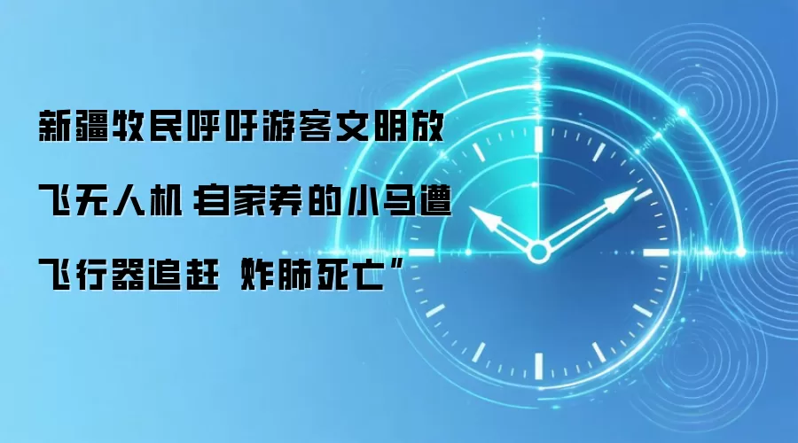 新疆牧民呼吁游客文明放飞无人机：自家养的小马遭飞行器追赶“炸肺死亡