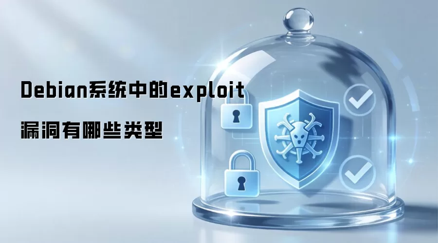 Debian系统中的exploit漏洞有哪些类型