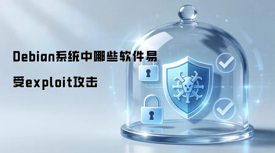 Debian系统中哪些软件易受exploit攻击