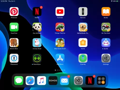 iPadOS 教程：如何使 iPad 应用程序图标和文本变得更大？