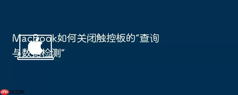 MacBook如何关闭触控板的“查询与数据检测”