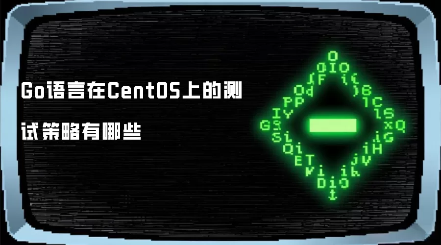 Go语言在CentOS上的测试策略有哪些