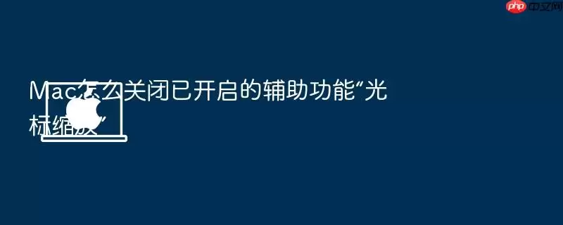 Mac怎么关闭已开启的辅助功能“光标缩放