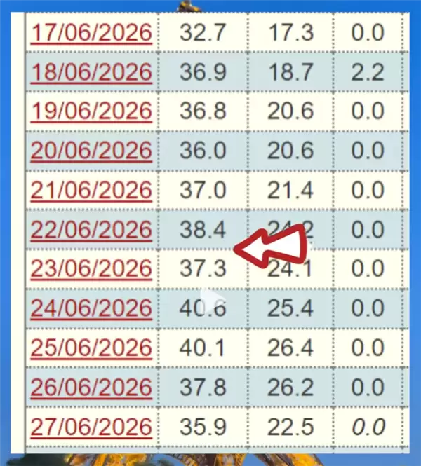 嫌弃开空调不优雅的欧洲人 今年终于热破防了