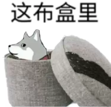 嫌弃开空调不优雅的欧洲人 今年终于热破防了