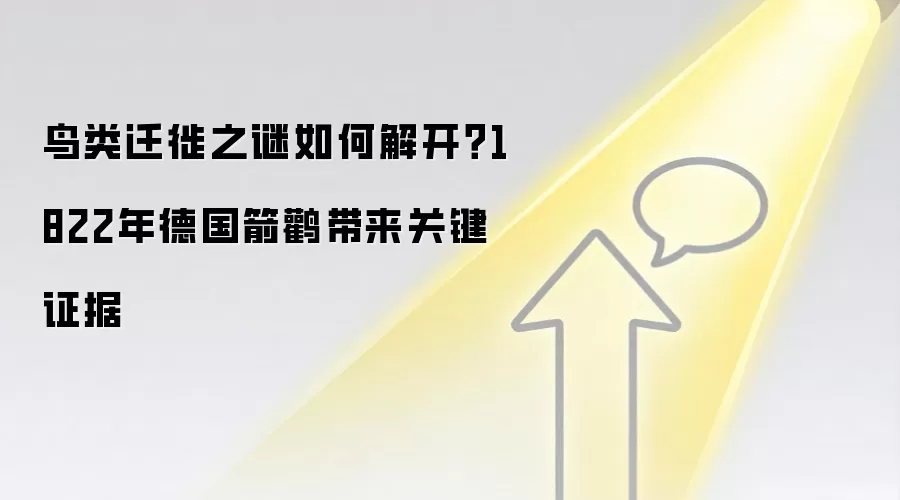 鸟类迁徙之谜如何解开？1822年德国箭鹳带来关键证据