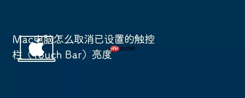 Mac电脑怎么取消已设置的触控栏（Touch Bar）亮度