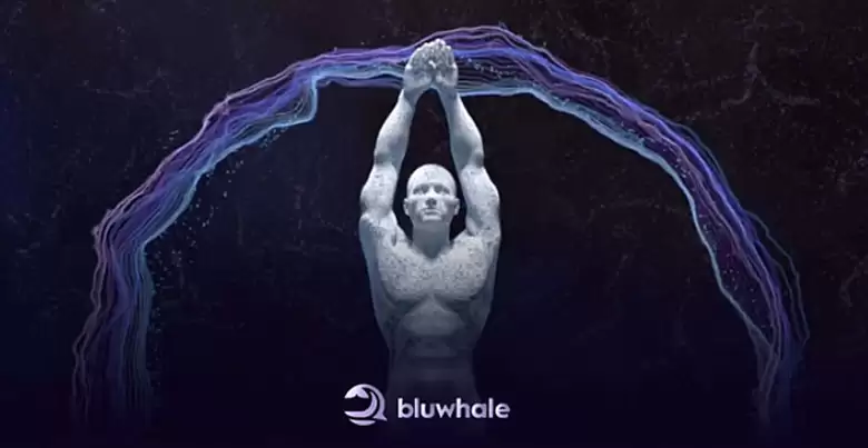 币安 Alpha 新项目 Bluwhale是什么?一文深度解析