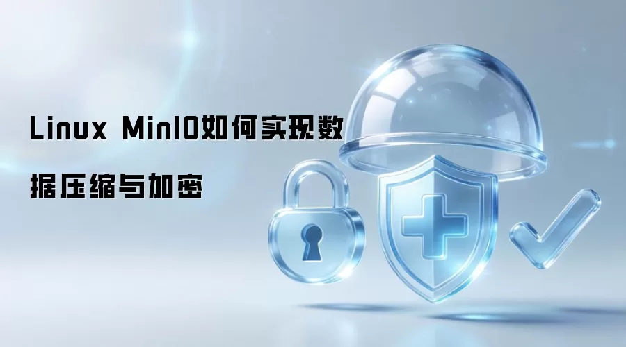 Linux MinIO如何实现数据压缩与加密
