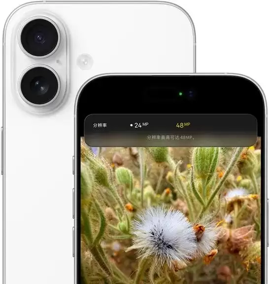 百年一遇的成本风暴:iPhone 17系列涨价在即,生产计划削减15%