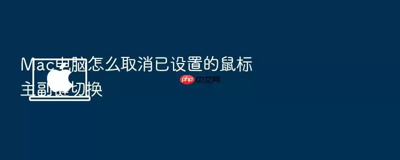 Mac电脑怎么取消已设置的鼠标主副键切换