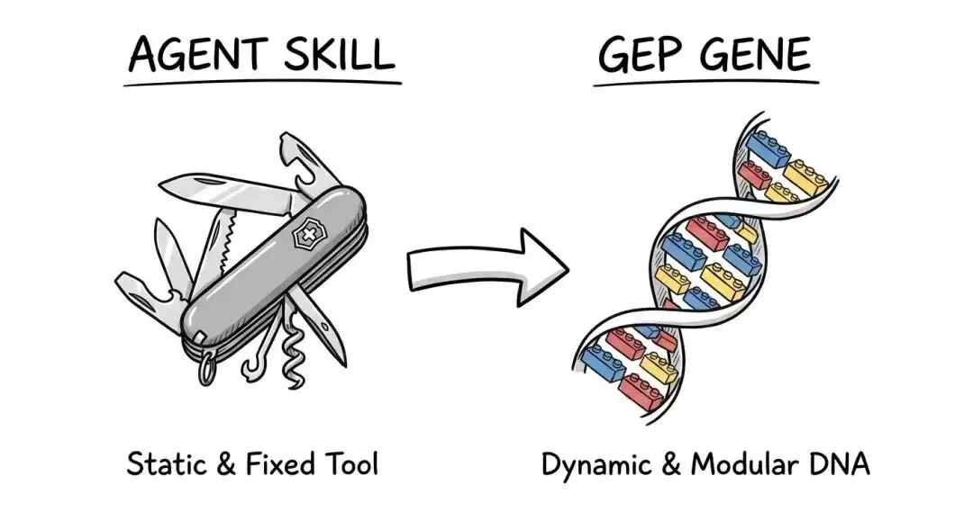 Agent Skill vs GEP Gene：工具与进化的本质之争