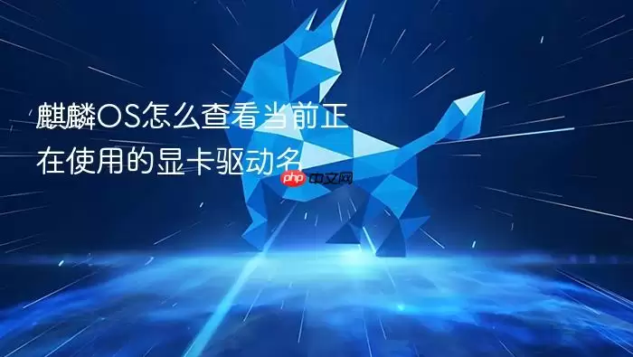 麒麟OS怎么查看当前正在使用的显卡驱动名