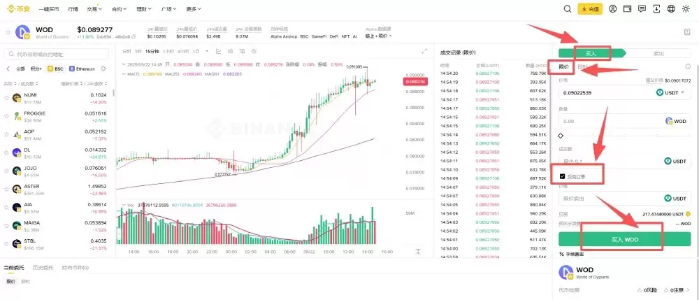 币安Alpha代币Web端反向订单确认