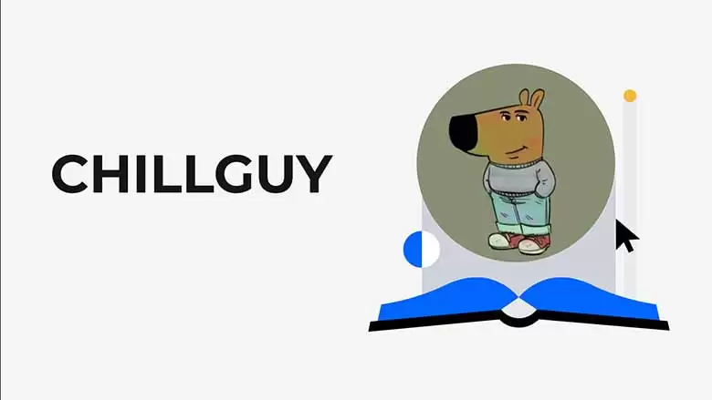 CHILLGUY是什么?Solana 链上Meme币新星