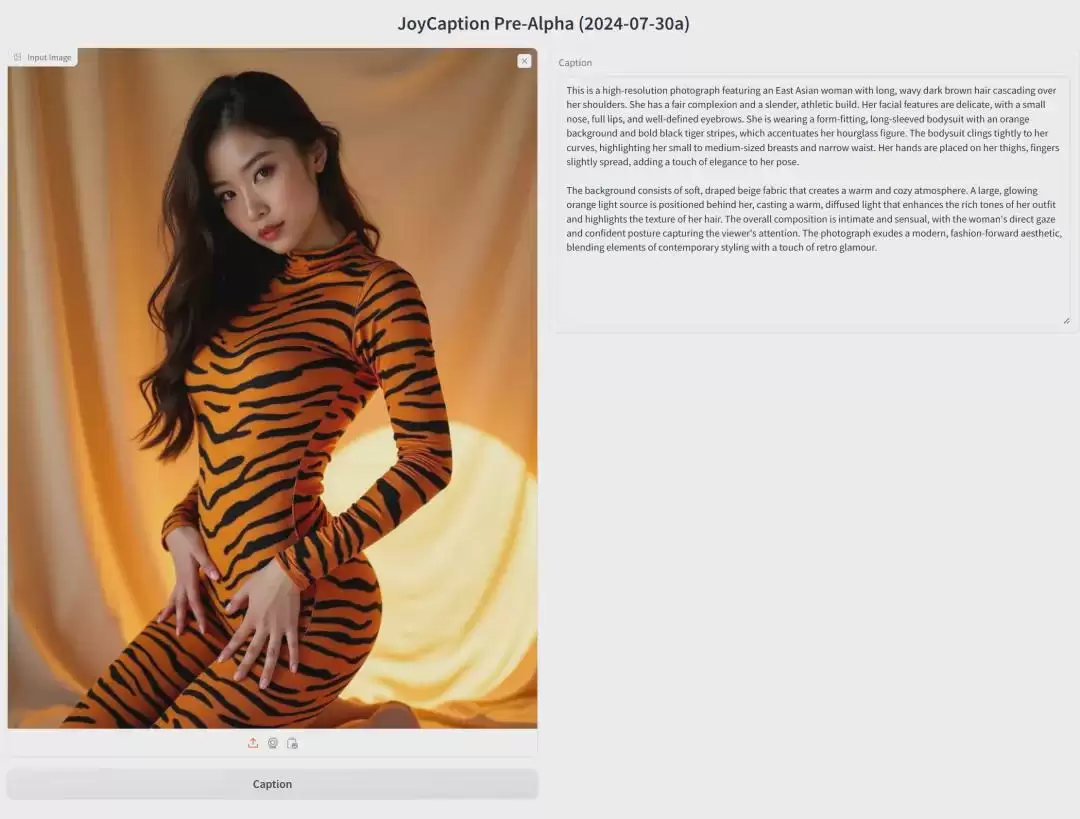 还有人不知道可以图片反推提示词吗，不花钱免费白嫖图像反推模型Joy Caption