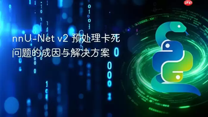 nnU-Net v2 预处理卡死问题的成因与解决方案