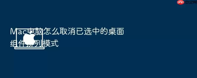 Mac电脑怎么取消已选中的桌面组件排列模式
