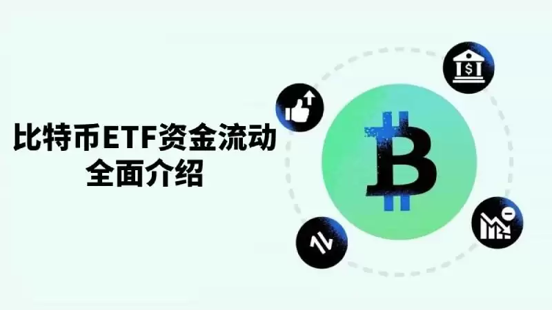 比特币ETF资金流动全面解析