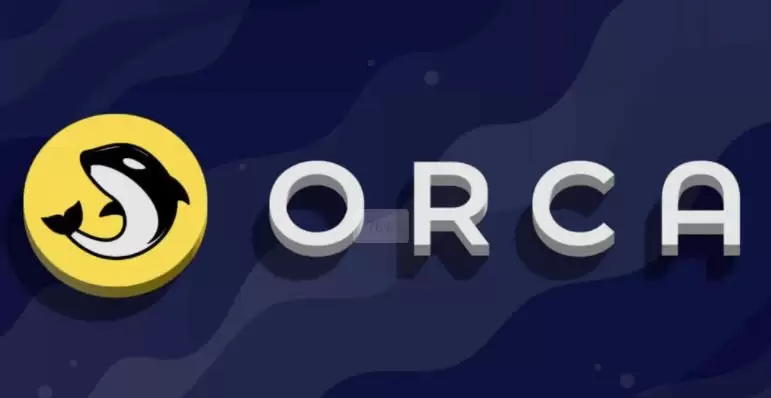 什么是Orca(ORCA)币?怎么买?ORCA功能特性、代币经济学及未来展望