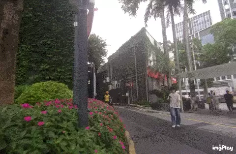 \ IMG_gzer0a.gif
