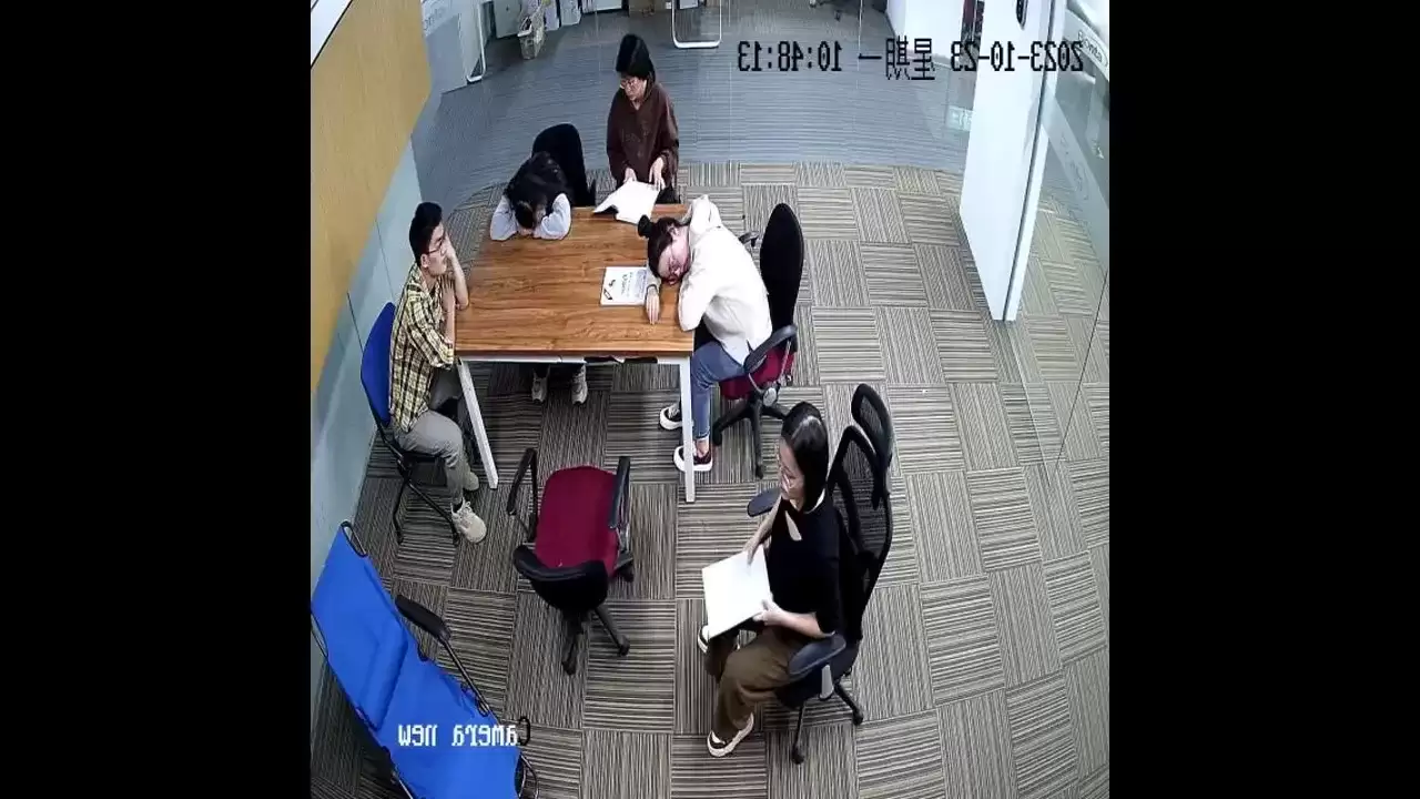 样本图