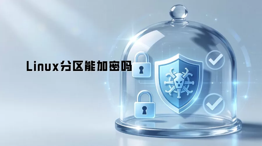 Linux分区能加密吗