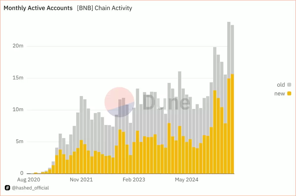 BNB Chain的圈里圈外:奠定新叙事的200天