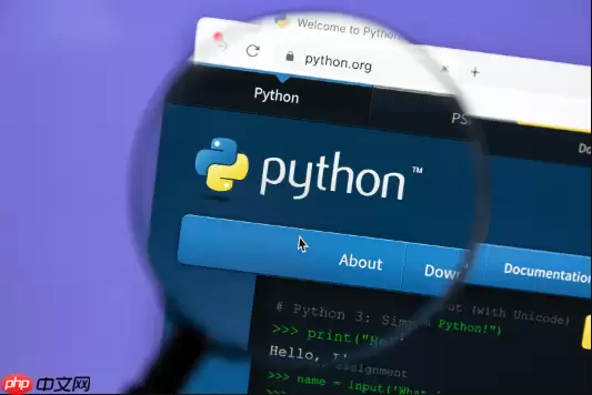 Python处理海量数据时出现MemoryError该如何优化内存分配?